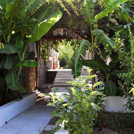 Milos Garden Appartement Adamantas  Buitenkant foto