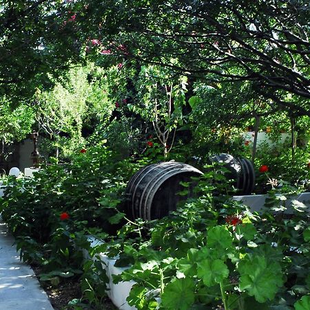 Milos Garden Appartement Adamantas  Buitenkant foto