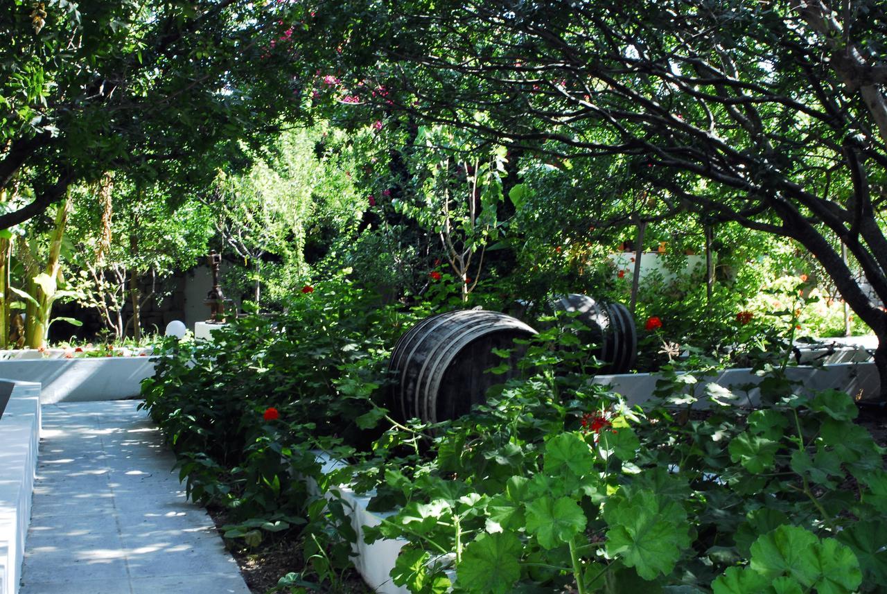 Milos Garden Appartement Adamantas  Buitenkant foto